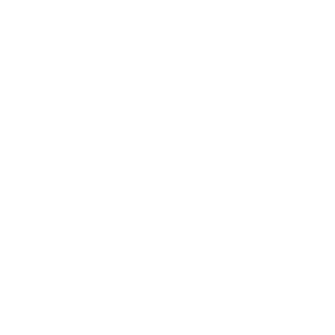 TOWN SQUARE METEPEC
